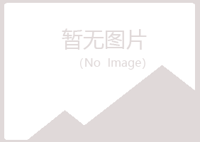 岐山县迷茫会计有限公司